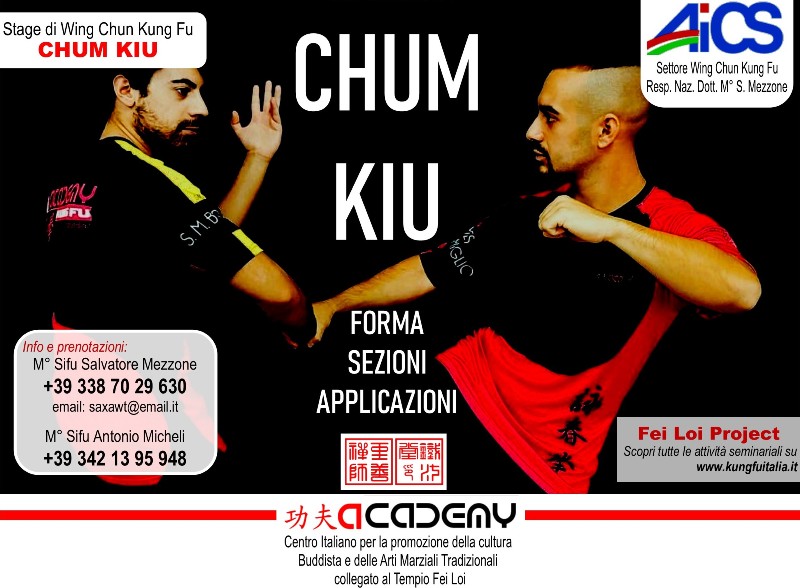 CHUN KIU Wing Tsun  Fei Loi Project Kung Fu seminars Arti marziali cinesi Cina Italia wing chun Ip Man, weng chun Tang Yik, Chi Kung